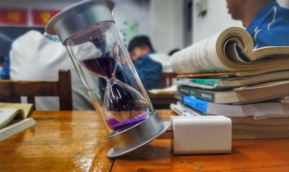 雪山向日葵内容概括 雪山向日葵内容概括一览