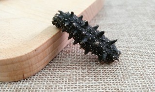 海参怎么做法 海参的烹饪方法