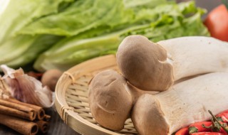 怎样炒杏鲍菇才好吃 如何炒杏鲍菇才好吃