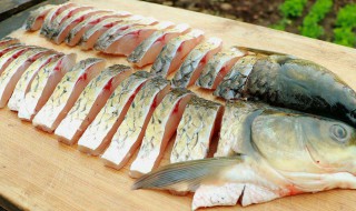 怎样做草鱼最好吃 大草鱼怎么做最好吃