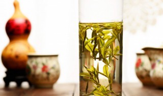 黄芩茶的功效与作用及禁忌 黄芩茶的功效与作用及禁忌解说