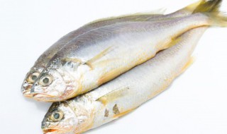 鱼怎样腌制好吃又嫩 鱼如何腌制好吃又嫩