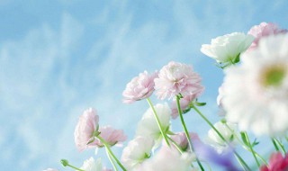 幸福回味作文 幸福回味范文欣赏