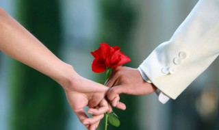 与花有关的唯美句子 与花有关的唯美句子有哪些