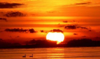 描写夕阳的唯美句子 描写夕阳落日的优美句子有哪些