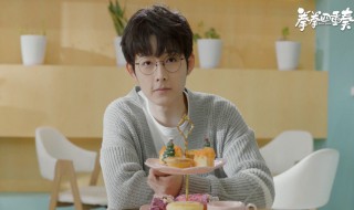 拳拳四重奏电视剧简介 拳拳四重奏电视剧介绍