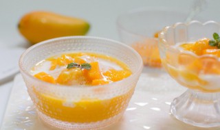芒果冰沙的做法大全 最美味的芒果冰沙做法三则分享