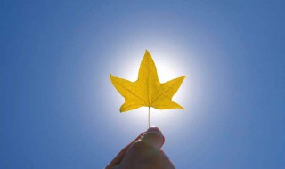 关于岁月静好的唯美句子 感叹生活平安宁静的短句分享