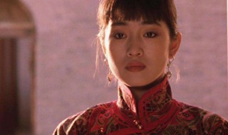 大红灯笼高高挂电影简介 大红灯笼高高挂电影讲的什么故事