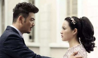 潜伏在黎明之前电视剧简介 潜伏在黎明之前电视剧介绍