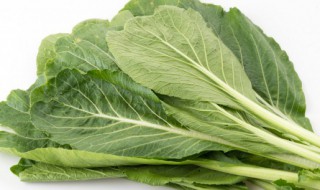 芥菜是凉性还是热性 芥菜具体是凉性还是热性
