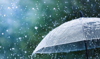 描写形容雨的词语有哪些 描写形容雨的词语精选