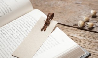 关于听雨的作文 关于听雨的作文范文