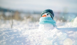 有关于描写冬天的句子 有关于描写冬天的句子推荐