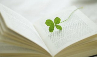 形容冬天的树句子 形容冬天的树句子有哪些