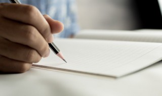 描写美丽山茶花的句子 描写美丽山茶花的句子有什么