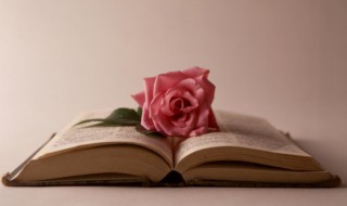 关于赞美父亲的句子 关于赞美父亲的句子有啥