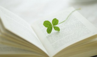 美好的祝福的句子 美好的祝福的句子有哪些