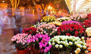 描写花店的句子 描写花店的句子有哪些