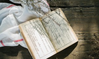 愿字开头的祝福句子 愿字开头的祝福的唯美句子