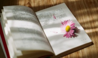 形容女人漂亮的经典句子 形容女人漂亮的经典句子有哪些