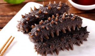 泡发后的海参怎么处理 泡发后的海参如何处理