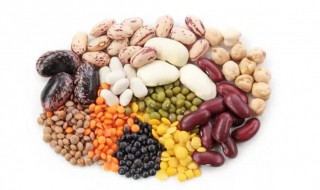 豆类是属于淀粉类食物吗 豆类是否属于淀粉类食物