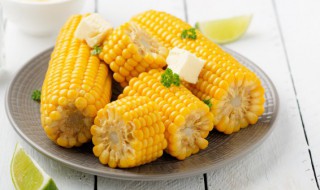 什么是寒性食物 寒性食物介绍