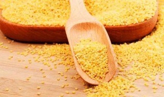 小米属于淀粉类食物吗 小米是否属于淀粉类食物