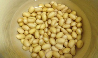 豆为什么要泡水 豆要泡水的原因