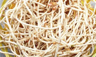 鱼腥草能长期喝吗 鱼腥草长期喝行不行