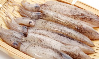 自己在家应该怎么处理鱿鱼 自己在家处理鱿鱼的方法