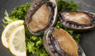 淘宝购买了很多鲍鱼 淘宝购买了很多鲍鱼怎么处理