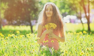 枯木逢春的唯美句子 枯木逢春的唯美句子有哪些