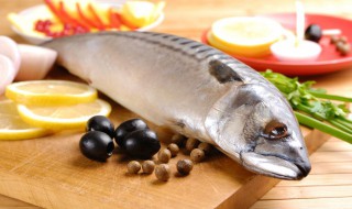 蛋白质作用 蛋白质有什么作用