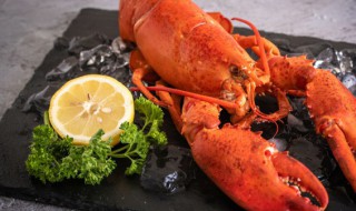 活的龙虾怎么处理 如何处理活的龙虾