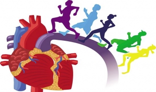 心血管病患者该怎样参加体育活动，一定要循序渐进