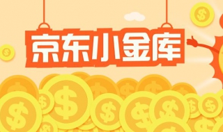 如何使用京东小金库进行网上支付 支付密码是否和京东支付密码一致