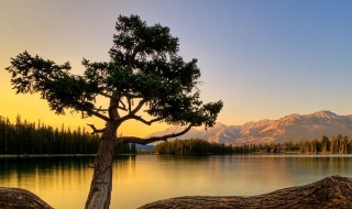 写心情的句子经典心情说说 有关心情的句子