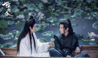 为什么蓝忘机最后没和魏无羡走 蓝忘机和魏无羡介绍