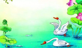 咏鹅唐诗 咏鹅讲解