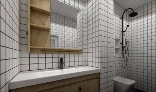 厕所堵了用什么方法可以解决 有什么解决的技巧