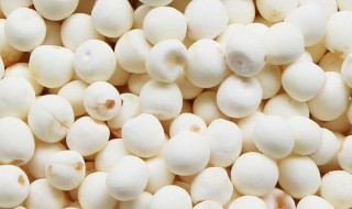 白芡实的功效与作用及食用方法 白芡实有什么作用
