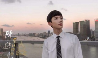 平凡的荣耀小白妈妈是谁 平凡的荣耀简介