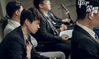 平凡的荣耀郝帅的真实身份 平凡的荣耀郝帅背景是什么