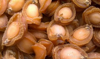 干鲍鱼泡发的正确方法 鲍鱼干怎么泡发