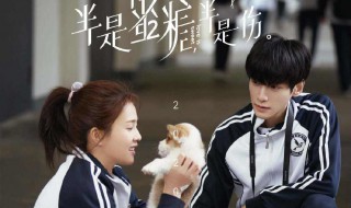 半是蜜糖半是伤剧情 半是蜜糖半是伤简介