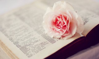 暖心短句小清新8字 有什么八个字的暖心句子