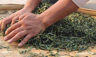 生普洱怎么保存好 生普洱的保存方法