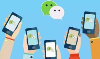 微信怎么改性别 如何操作